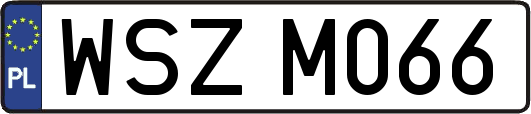WSZM066