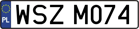WSZM074