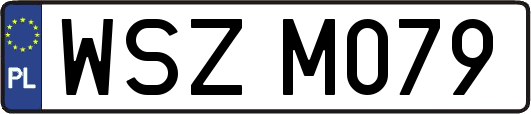 WSZM079