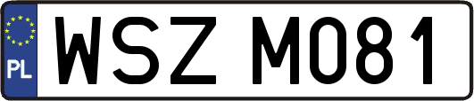 WSZM081