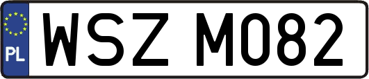 WSZM082