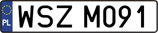 WSZM091