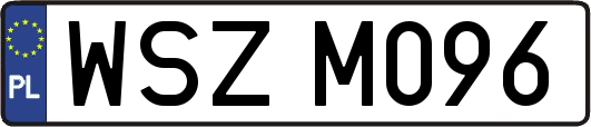 WSZM096