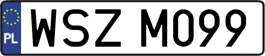 WSZM099