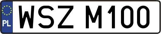 WSZM100