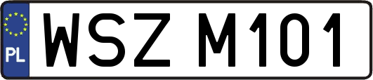 WSZM101