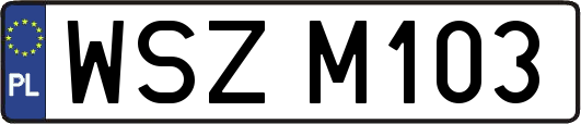 WSZM103