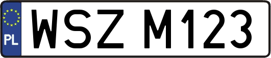 WSZM123