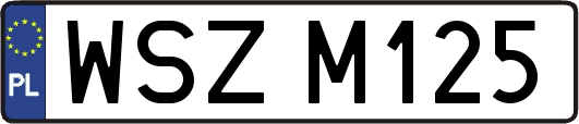 WSZM125