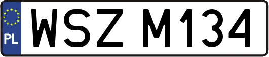 WSZM134