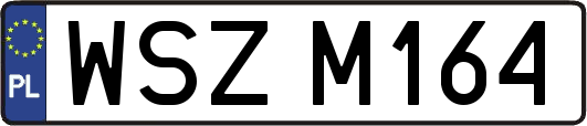 WSZM164