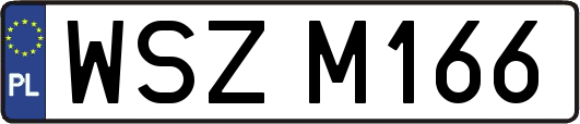 WSZM166