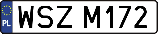 WSZM172
