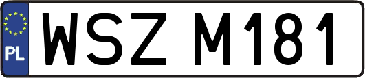 WSZM181
