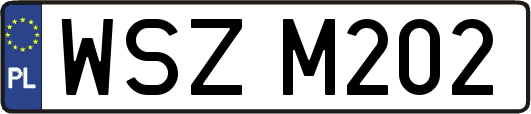 WSZM202