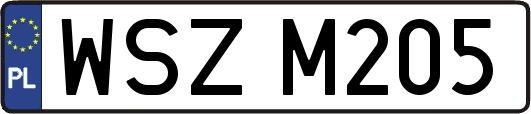 WSZM205