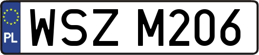 WSZM206