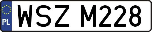WSZM228