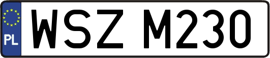 WSZM230
