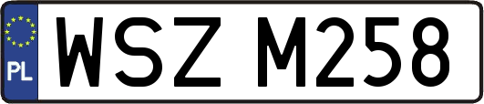 WSZM258