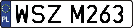 WSZM263