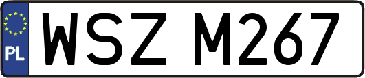 WSZM267