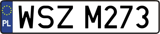 WSZM273
