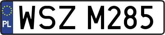 WSZM285