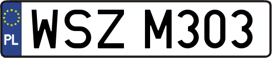WSZM303