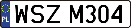 WSZM304