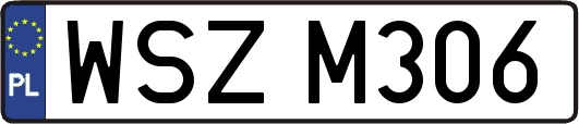 WSZM306