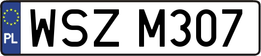 WSZM307