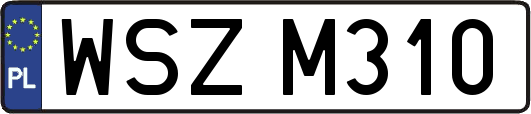 WSZM310
