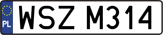 WSZM314