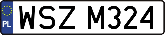 WSZM324