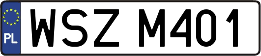 WSZM401