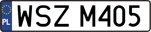 WSZM405