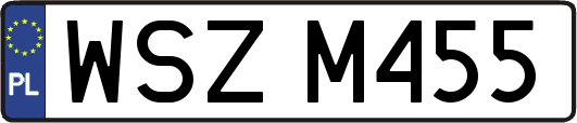 WSZM455