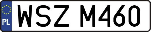 WSZM460