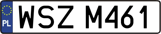 WSZM461