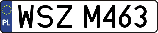WSZM463