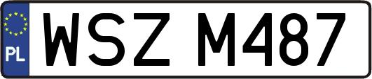 WSZM487