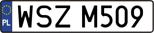 WSZM509