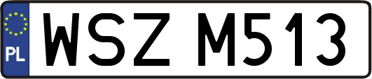 WSZM513