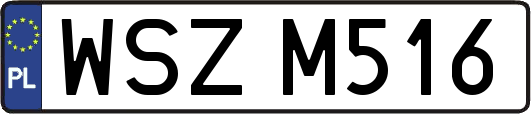 WSZM516