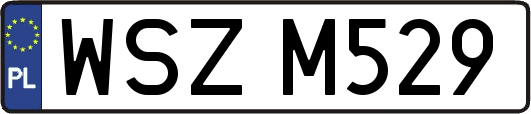 WSZM529