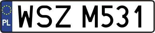 WSZM531