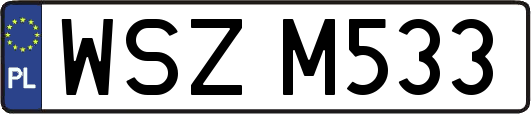 WSZM533