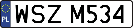 WSZM534