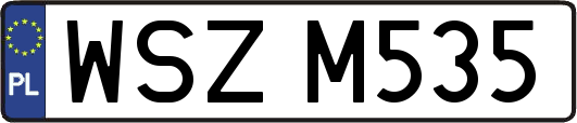 WSZM535